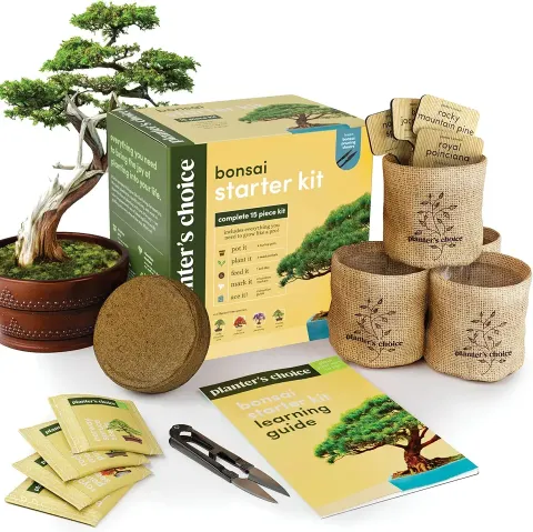Bonsai Starter Kit for Gardening